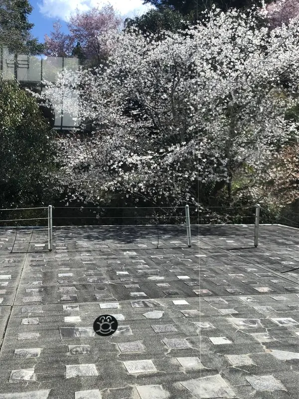 桜とアンパンマン