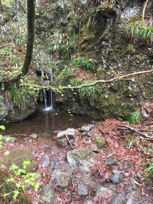 清水