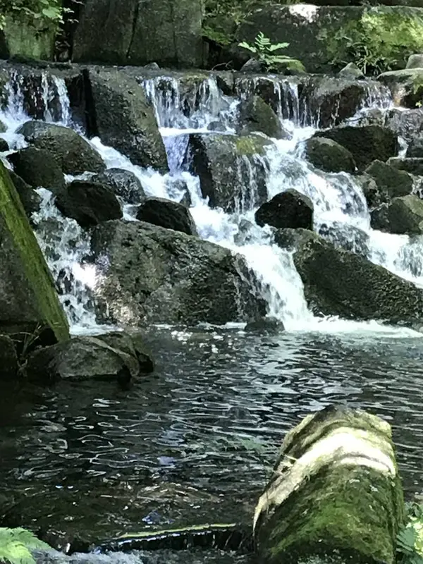 渓流