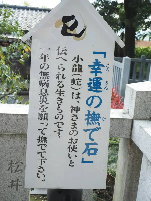 スポット内のおすすめ
