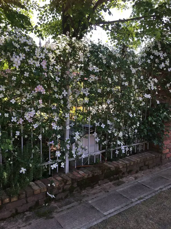 薔薇の季節じゃなくても素敵