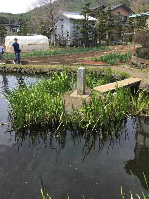 菖蒲池