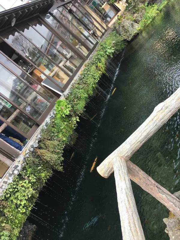 湧き池
