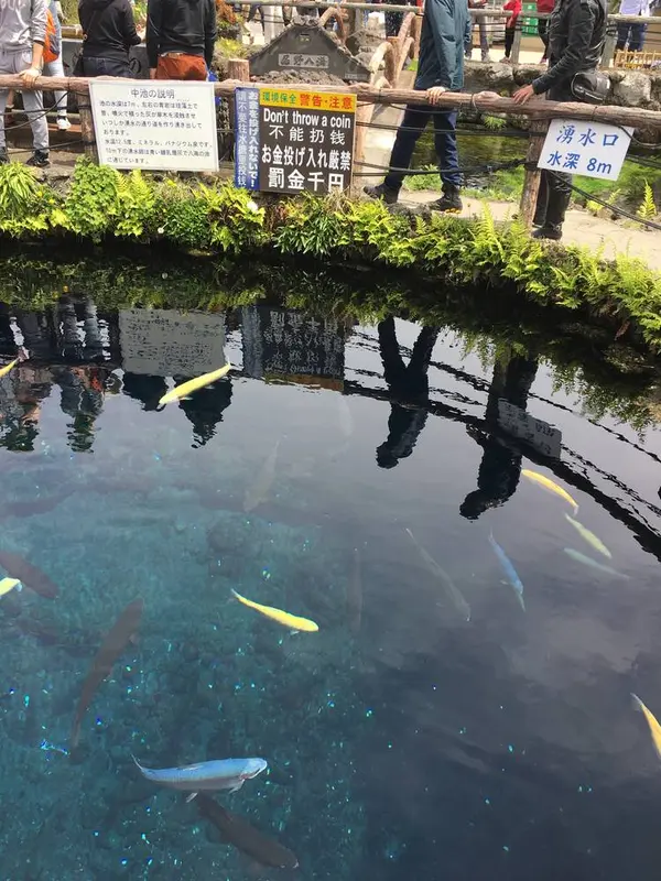 中央の池