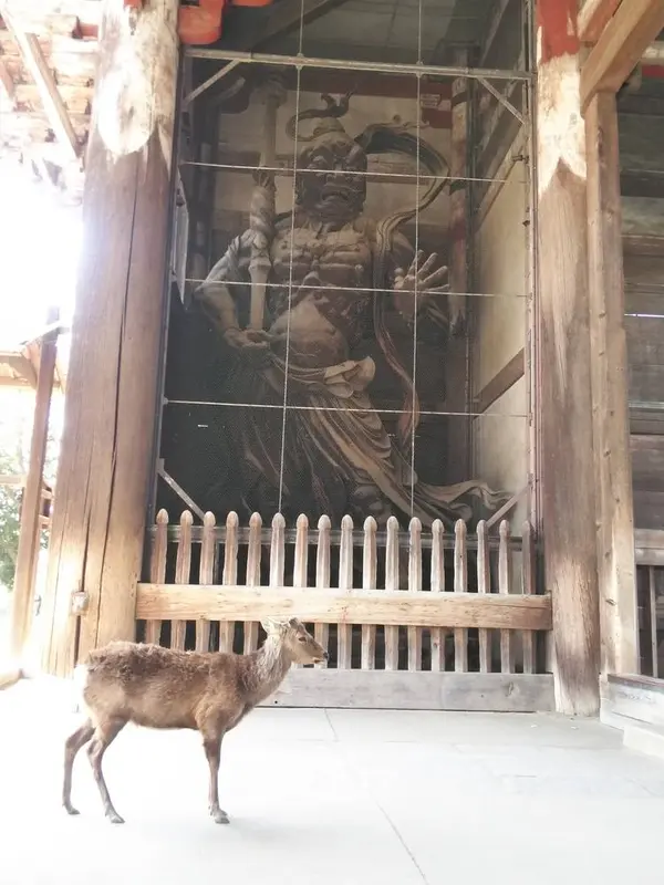 出ました！仁王さん！