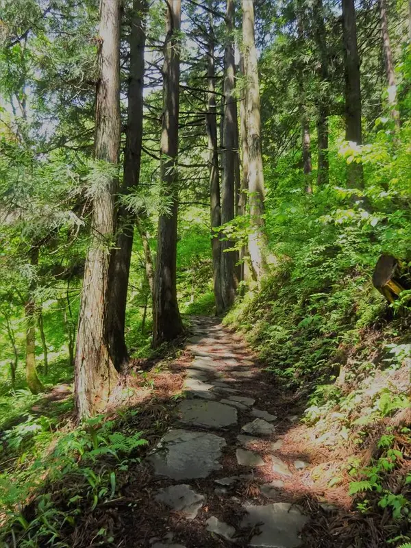 滝まで石畳の道を歩きます