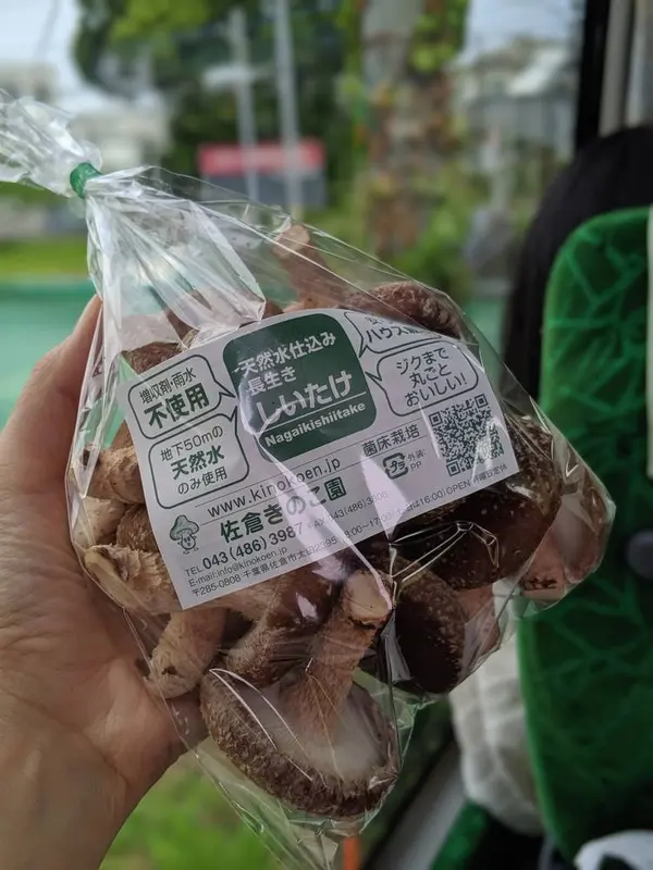 袋詰めしてもらって持ち帰ります