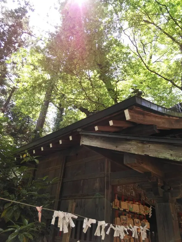 神馬舎の上にふりそそぐ陽光輝く✨