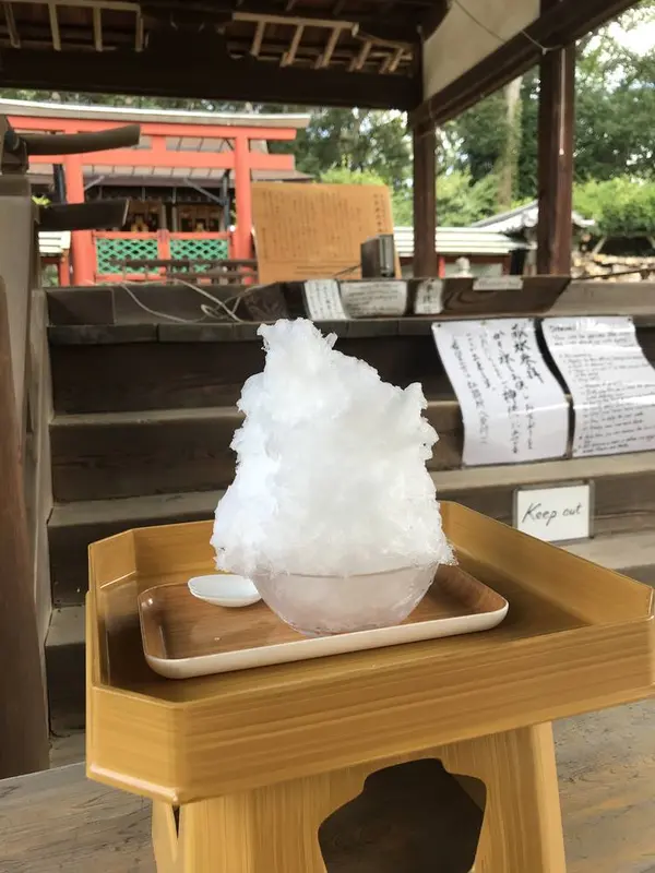 献氷
