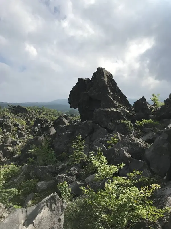 溶岩の芸術