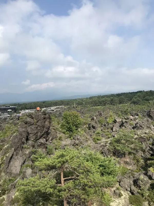 山頂から📸