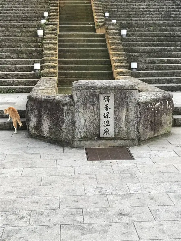 正面入り口