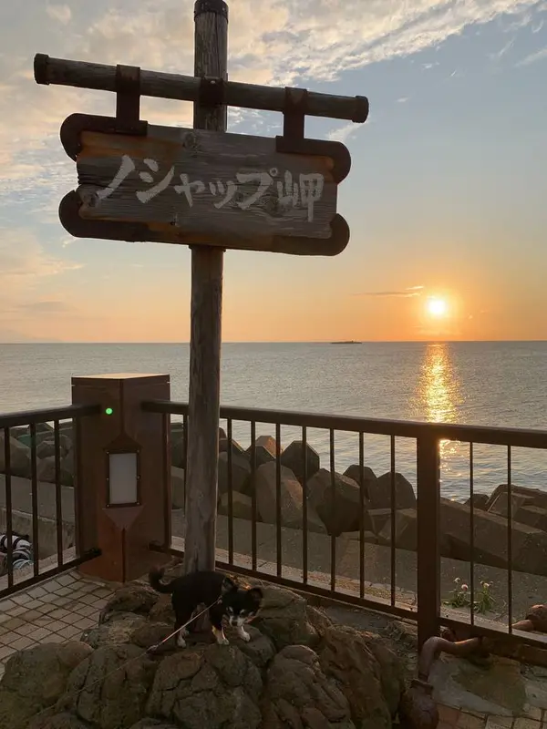 ノシャップ岬