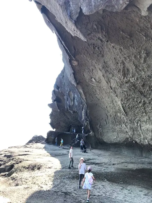 自然ってすごい