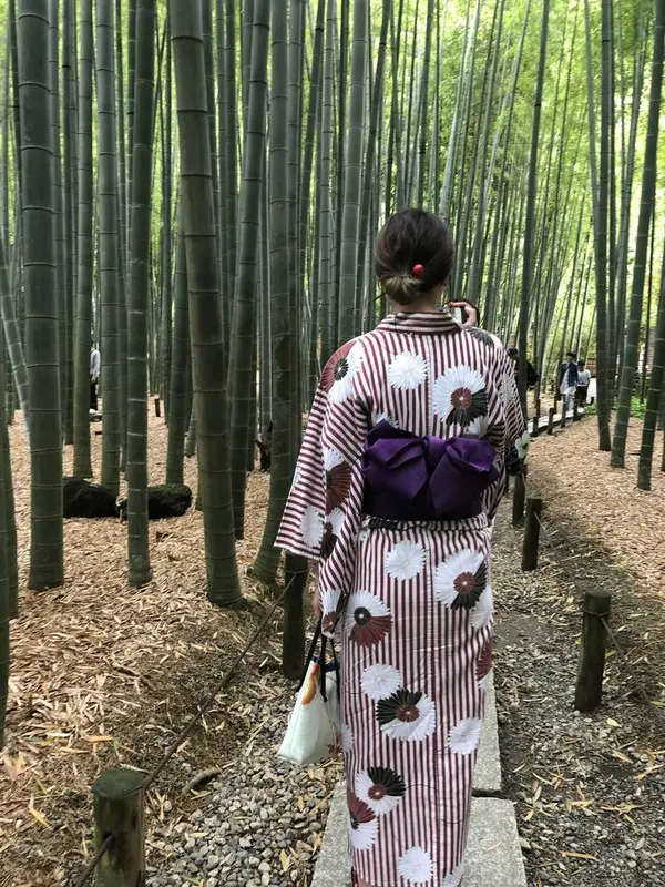 情緒たっぷりの圧巻の竹林