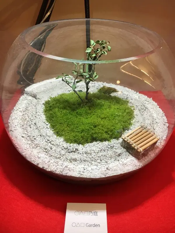 こっちは苔テラリウム