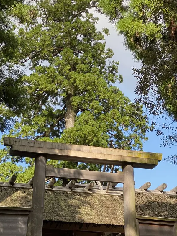 正宮前