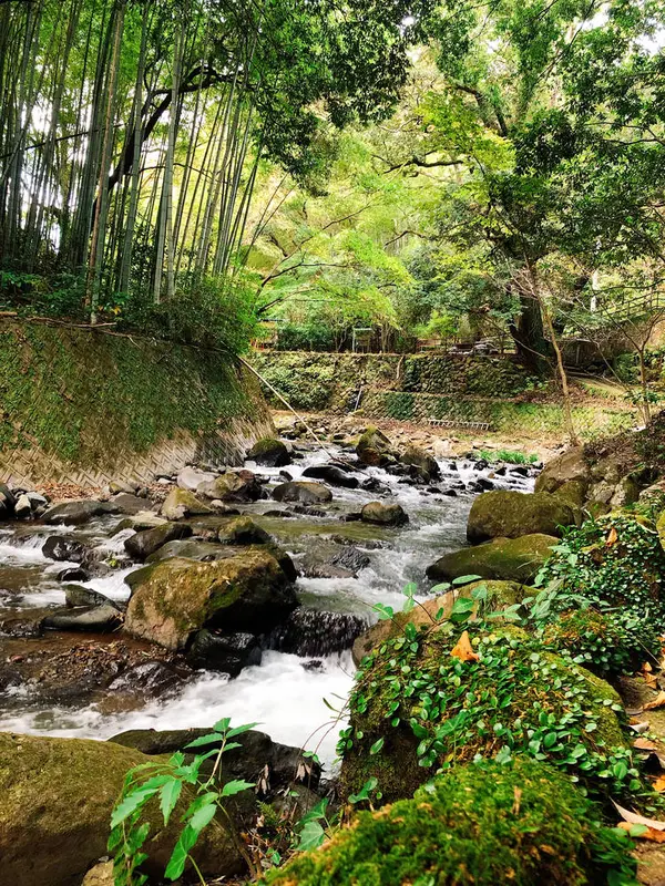 渓流沿いの道散策