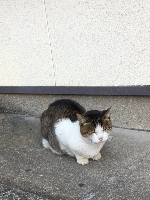 中華街で出会った