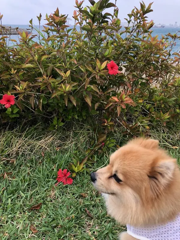 やっと一息