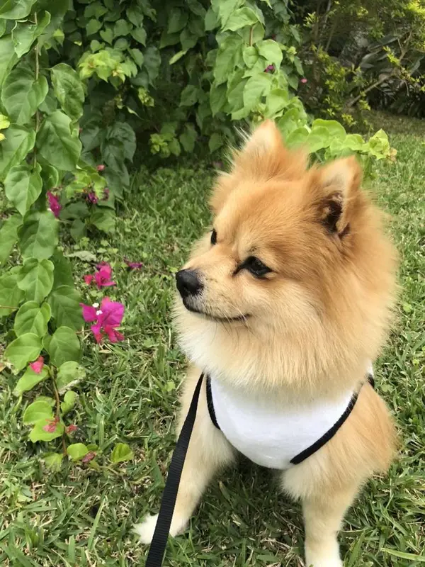 ぉ散歩沢山しましたっ