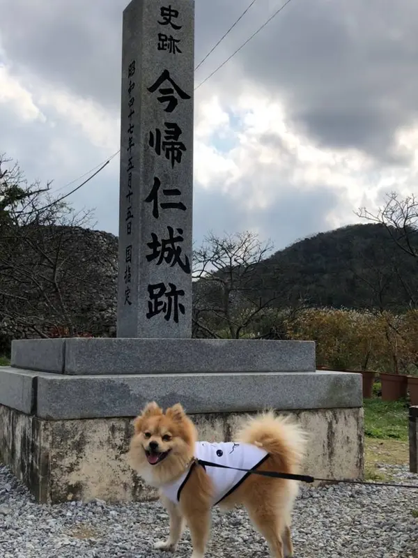 入り口ですっ