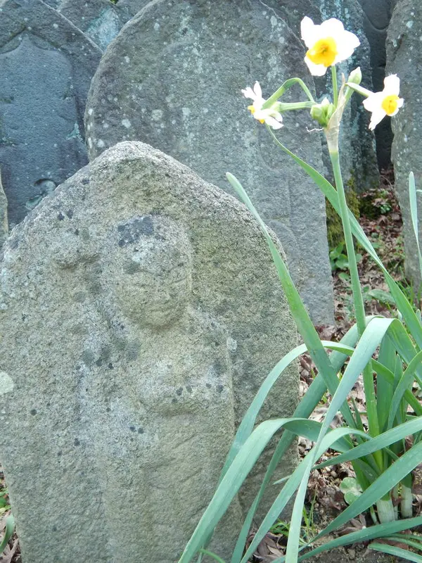 石仏と水仙