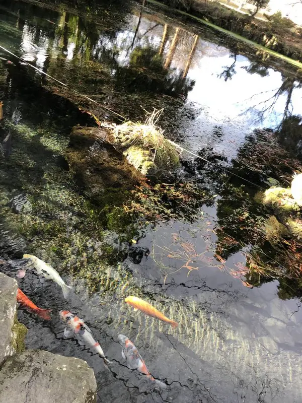 明神池名水公園