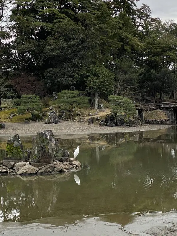 玄宮園