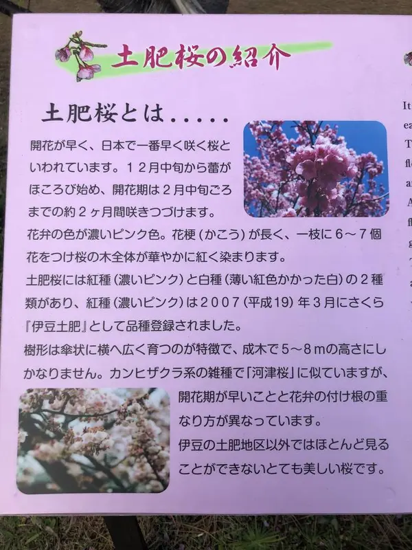 スポット内のおすすめ