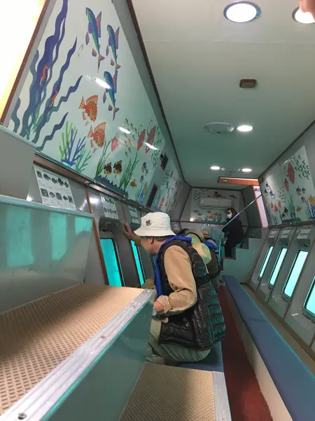 間近で見られる海中の魚たち