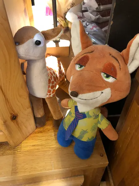 店内も超可愛ぃ