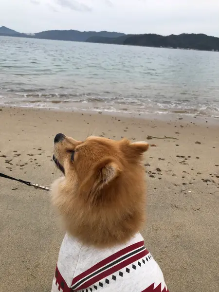 海なんか？湖なんか？
