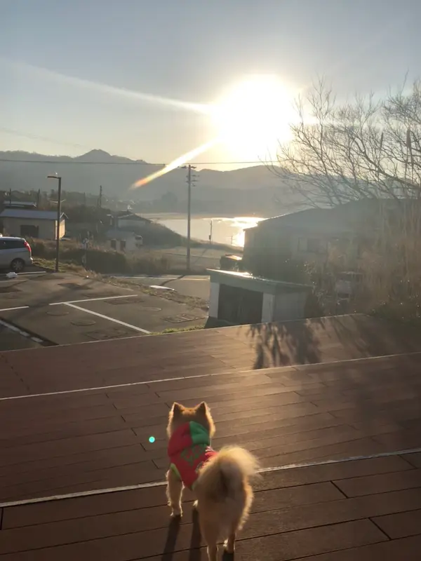 棟の横にテラスがぁって 夕日が綺麗でした