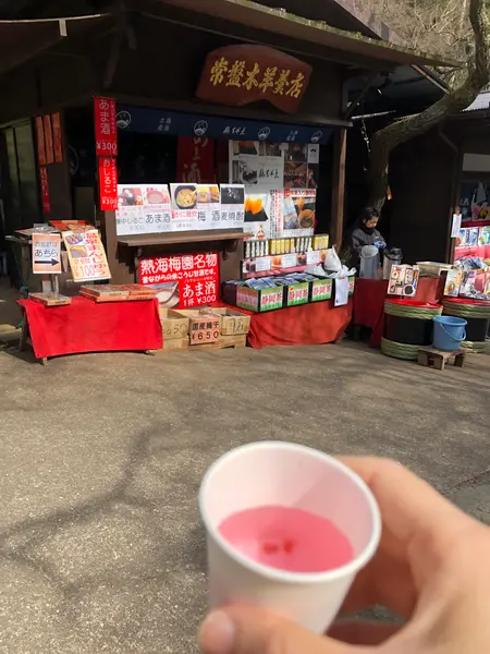 さくら茶🌸