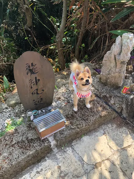 パワスポット 風神流道