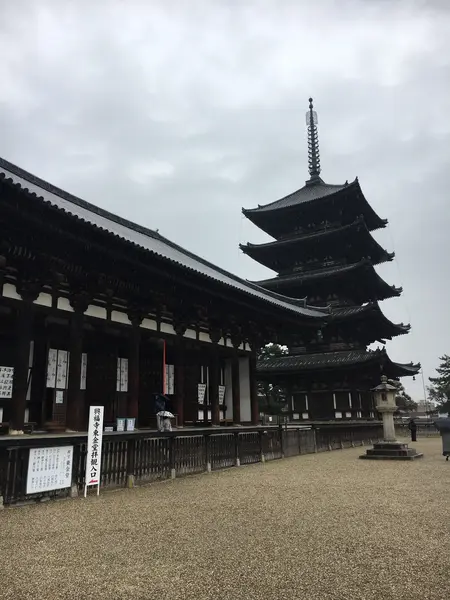 東金堂と五重の塔。