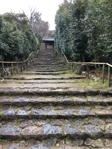 門が見えた。