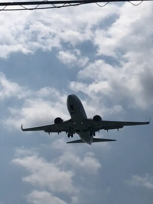 近ぃぃぃーーーーーー