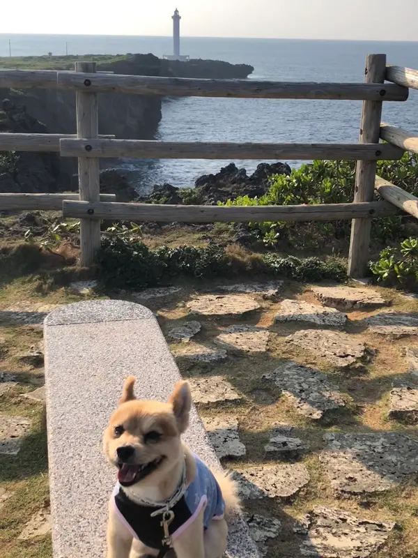 ォ散歩をして行くと潮吹穴P