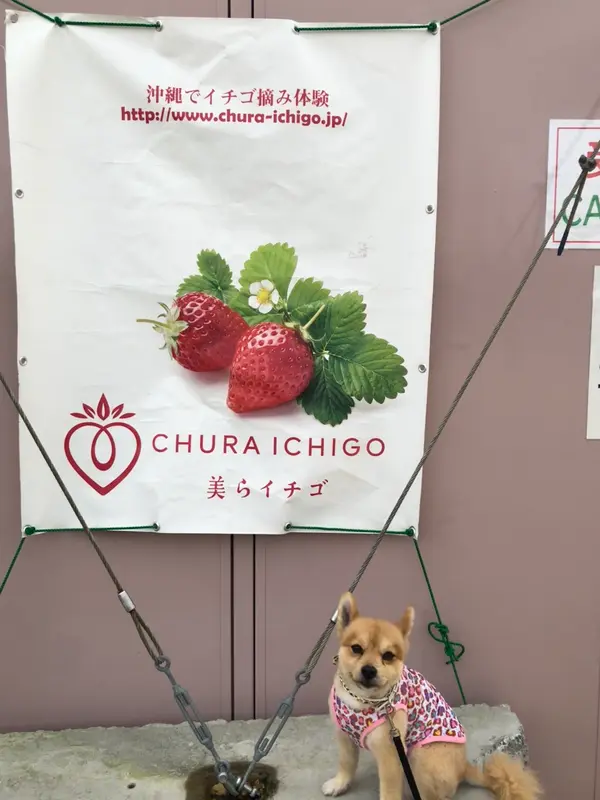 ココで受け付けします