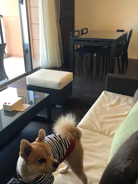 リビングダイニング