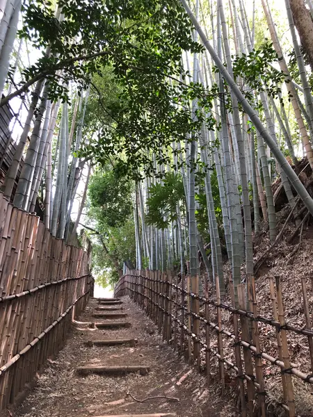 坂道中間点