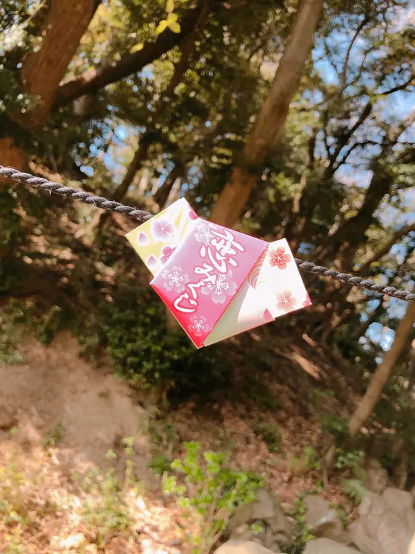 恋みくじ