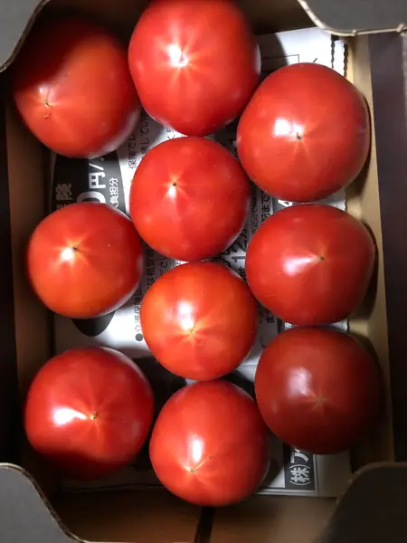 奥田トマト