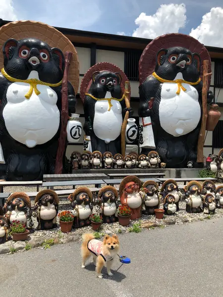 でっかぃたぬきとはぃっ！チーズ