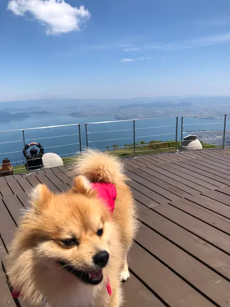 山頂