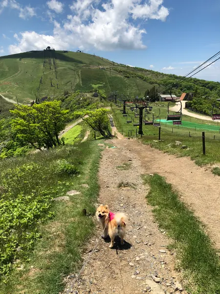 ｹｰﾌﾞﾙｶｰを降りてから ぉ散歩