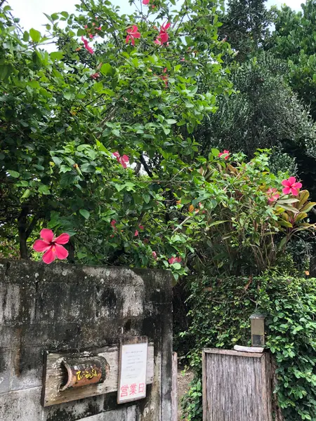 入口
