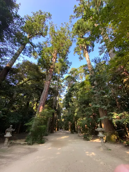 奥宮へ